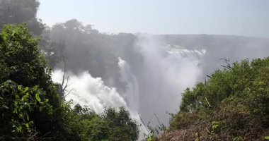 Zimbabwe 'deki görkemli Victoria Şelalesi, gürleyen şelale yemyeşil orman zeminine karşı devasa yağmur bulutları ve gökkuşakları yaratıyor. Zambezi Nehri 'ndeki doğal dünya harikası. Afrika vahşi doğası.