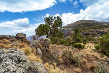 Kuzey Etiyopya 'daki güzel Semien veya Simien Dağları Ulusal Parkı manzarası. Afrika vahşi doğası. Dağ yürüyüşü konsepti.