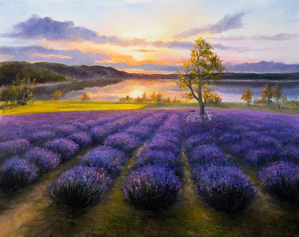 Original Oljemålning Lavendelfält Canvas Modern Impressionism Royaltyfria Stockbilder