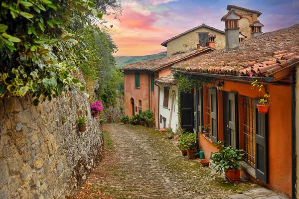 Bela Colorida Rua Zona Rural Toscana Itália Imagens De Bancos De Imagens