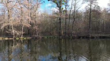 Sonbaharın sonlarında göl kıyısı ve yapraksız ağaçlar, uçuş manzarası.