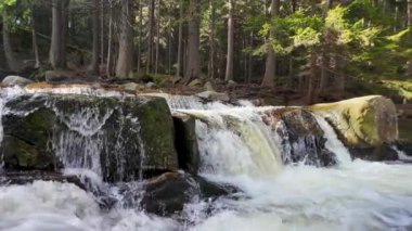 Bir dağ ormanında akan bir nehirdeki şelale vadideki kayaların arasında, kaynayan ve köpüren suyun hızlı akışı, yavaş çekimde su fışkırıyor.