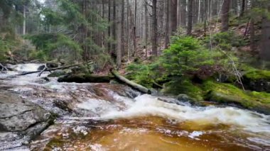 Bir dağ ormanında akan bir nehirdeki şelale vadideki kayaların arasında, kaynayan ve köpüren suyun hızlı akışı, yavaş çekimde su fışkırıyor.