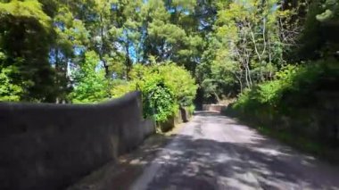 Portekiz 'de Sintra' dan Quinta da Regaleira 'ya giden dağ yolu, hareket halindeki bir arabadan manzara.