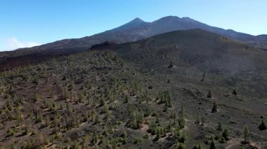 Teide Ulusal Parkı 'ndaki dağ manzarası, Tenerife, Kanarya Adaları, İspanya