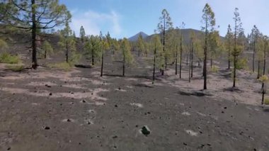 Teide Ulusal Parkı 'ndaki dağ manzarası, Tenerife, Kanarya Adaları, İspanya