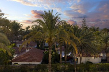 İspanya, Kanarya Adaları, Gran Kanarya 'daki tropikal bir bungalovda gün batımı