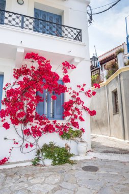 Geleneksel Akdeniz evinde güzel pembe çiçekler