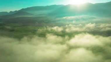 Bulutların arasında uçmak ve sabah şafağında çeltik tarlasının havadan manzarası.