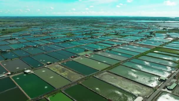 Luftfoto Rejer Fisk Gård Taiwan – Stock-video