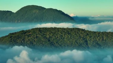 Dağ zirvesinin sisli ve bulutlu yeşil ağaçları, doğa, gökyüzü, arka plan, orman, manzara, seyahat, ağaç, manzara, sabah, 