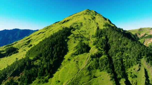 Vue Aérienne Sommet Montagne Hehuan Avec Des Arbres Verts Taiwan — Video