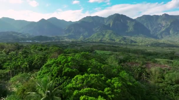 Luftaufnahme Des King Kong Berges Taitung Taiwan — Stockvideo