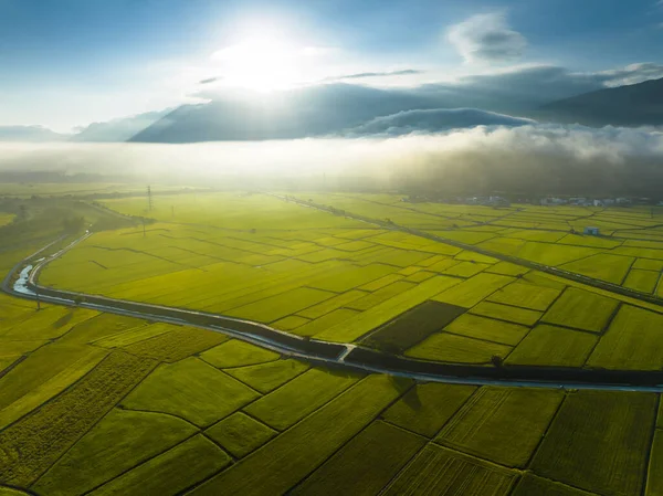 Вид Воздуха Рисовое Поле Чишане Тайтун Тайвань — стоковое фото