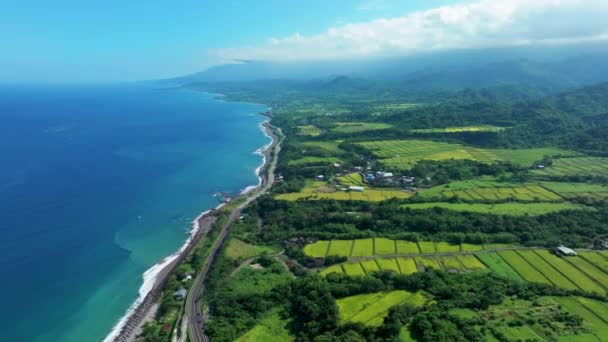 Aerial View Beautiful Paddy Field Taiwan — Stok video