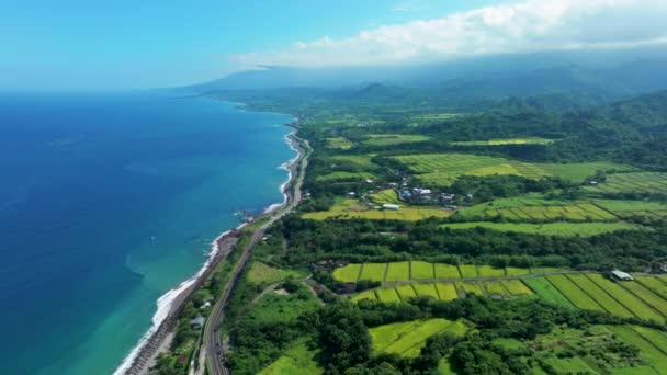 Aerial View Beautiful Paddy Field Taiwan — 图库视频影像