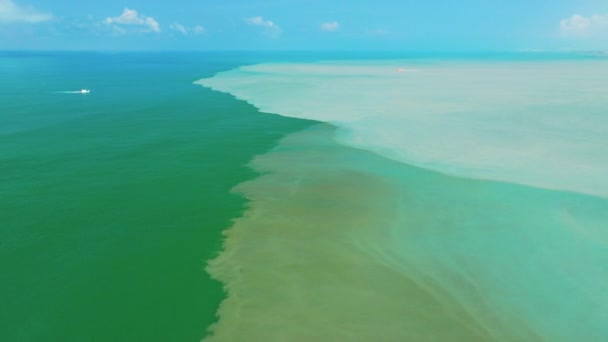 Luftbilde Den Skitne Oljeaktige Flekken Forurensningen Sjøen – stockvideo