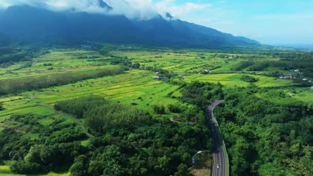 Widok Lotu Ptaka Tarasy Piękną Drogą Taitung Tajwan — Wideo stockowe