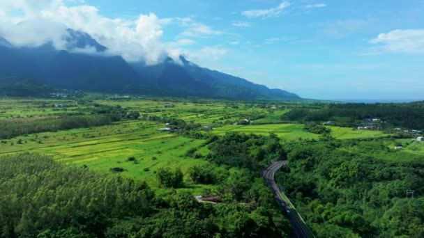 Vue Aérienne Une Route Panoramique Taitung Taiwan — Video