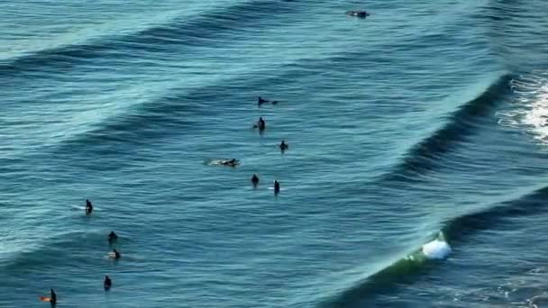 Surfers Surfing Marea Albastră Dimineața — Videoclip de stoc