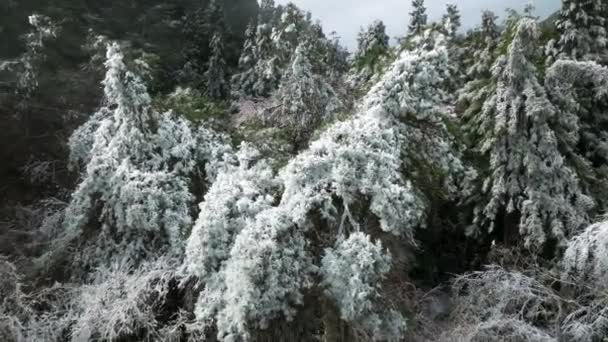 Вид Повітря Гірську Дорогу Взимку — стокове відео