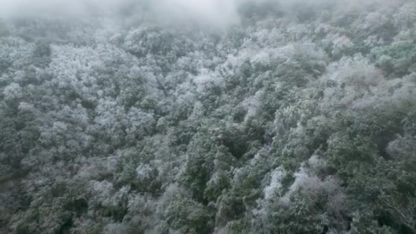Luchtfoto Van Bergweg Winter — Stockvideo