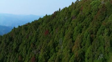 Alishan, Tayvan dağ sırasının hava görüntüsü.