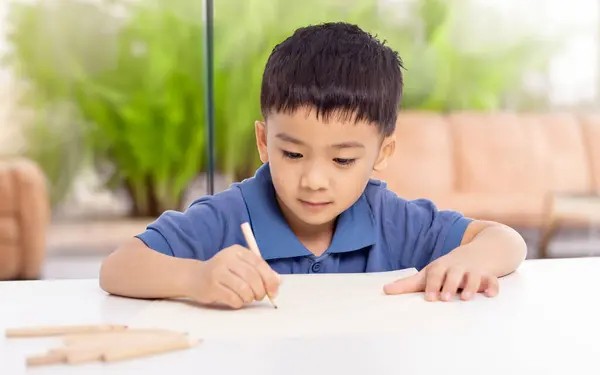 在家里学习和写作的亚裔学童微笑 图库照片