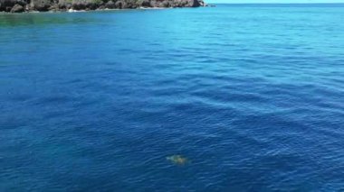 Tayvan 'ın Liuqiu adasındaki yüzen yeşil deniz kaplumbağasının hava manzarası..