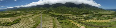 Aerial view panoramic of beautiful terraced rice field and road .Taitung ,Taiwan. clipart