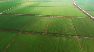 Aerial view of cultivated agricultural farming land