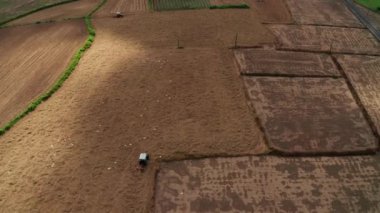 Pirinç tarlalarında kuşlar ve çeltik tarlasında yetiştirilen bir traktör. 