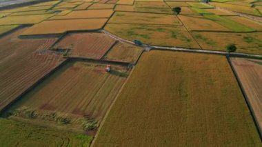 Birleştirme hasat makinesi pirinç çiftliği olan havadan görünümü