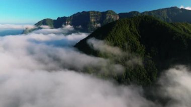 Tayvan 'daki Alishan Dağları' nın havadan görünüşü.