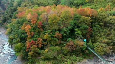 Tayvan 'da sonbahar manzarası, Hsinchu, Jianshi Xiuluan Maple Ormanı