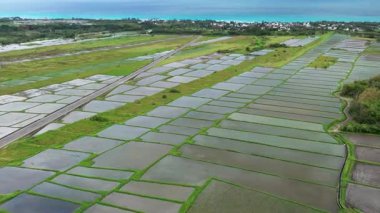 Taitung, Tayvan 'daki Teraslı Tarlaların Hava Görüntüsü.