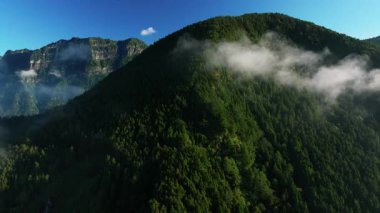 Tayvan 'da yemyeşil bir orman ve Alishan Dağı' nın havadan görünüşü