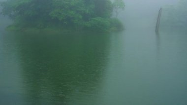 Sis ve yağmurun yağdığı yaz gölü