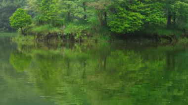 Sis ve yağmurun yağdığı yaz gölü