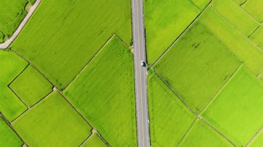 Güzel pirinç tarlalarının ve Tayvan 'ın havadan görünüşü