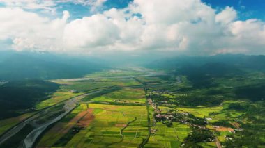 Güzel pirinç tarlalarının hava manzarası Doğu Boylam Vadisi, Hualien, Tayvan