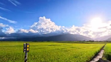 Doğu Longitudinal Vadisi, Tayvan 'da gün doğumunda pirinç tarlalarının teras manzarası.