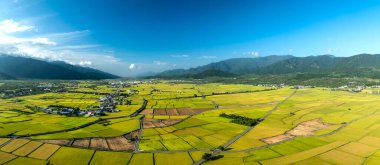 Chihshang, Tayvan 'daki güzel pirinç tarlalarının Hava Panorama Drone ResmiName