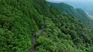 Hava manzaralı araba ve bisiklet ormanın içinden dolambaçlı yolda