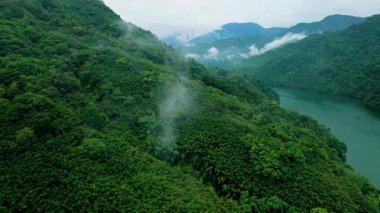 Yağmur ormanlarının ve bulutların hava manzarası 