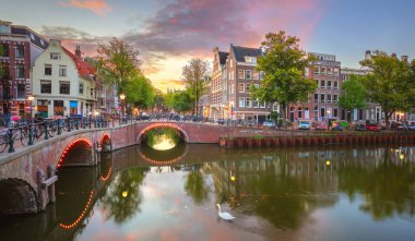 Amsterdam 'ın panoramik manzarası. Amsterdam 'da renkli gündoğumu sakin bir sabah. Tipik eski evler ve köprüler, bir kuğu yüzer. Suda yansıma. Amsterdam, Hollanda, Hollanda
