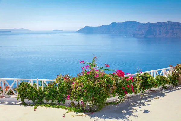 サントリーニのコンセプトの背景 ギリシャ サントリーニ島 白い建築 花と青い海と空 抽象的な背景 空の空間 ギリシャ諸島 サントリーニ島 ヨーロッパの休暇 ストック画像