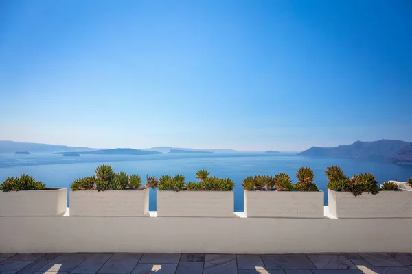 Konzeptioneller Hintergrund Santorin Griechenland Insel Santorin Oia Weiße Architektur Blumen Stockbild