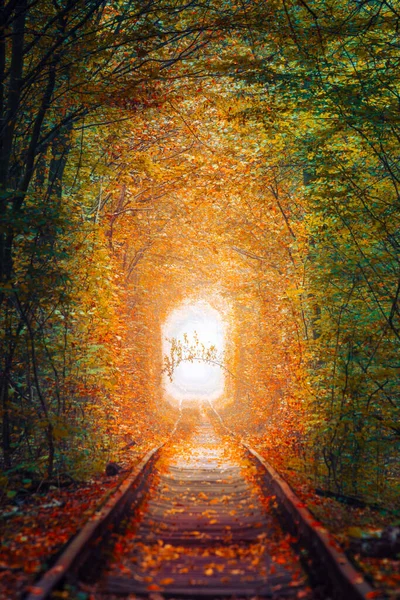 Paisagem Outono Fantástico Túnel Das Árvores Outono Com Antiga Ferrovia — Fotografia de Stock