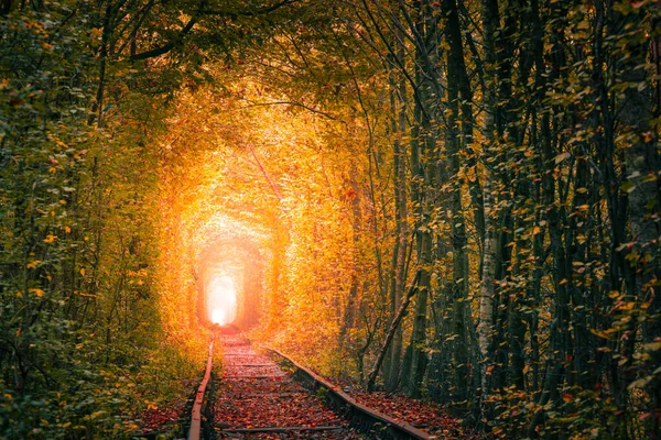 Gouden Herfst Bomen Tunnel Met Oude Spoorweg Tunnel Love Natuurlijke — Stockfoto